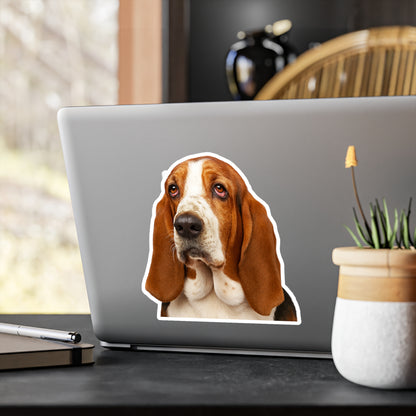 Basset Head Vinyl Decal