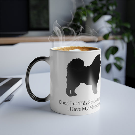 Fool You Color Changing Mug