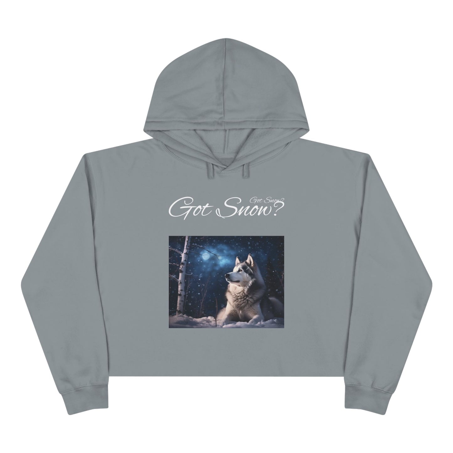 Got Snow? Women's Crop Hoodie