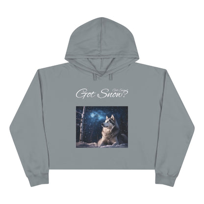 Got Snow? Women's Crop Hoodie