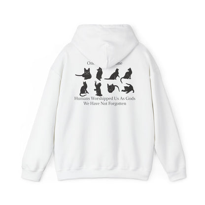 Once Upon A Time Unisex Hoodie