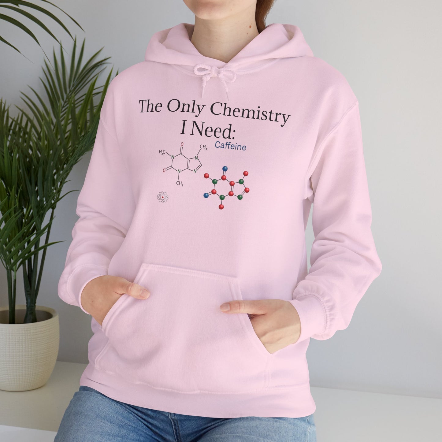 Chemistry Lesson Unisex Hoodie