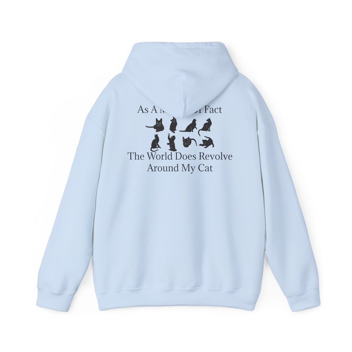 Matter Of Fact Cat Unisex Hoodie