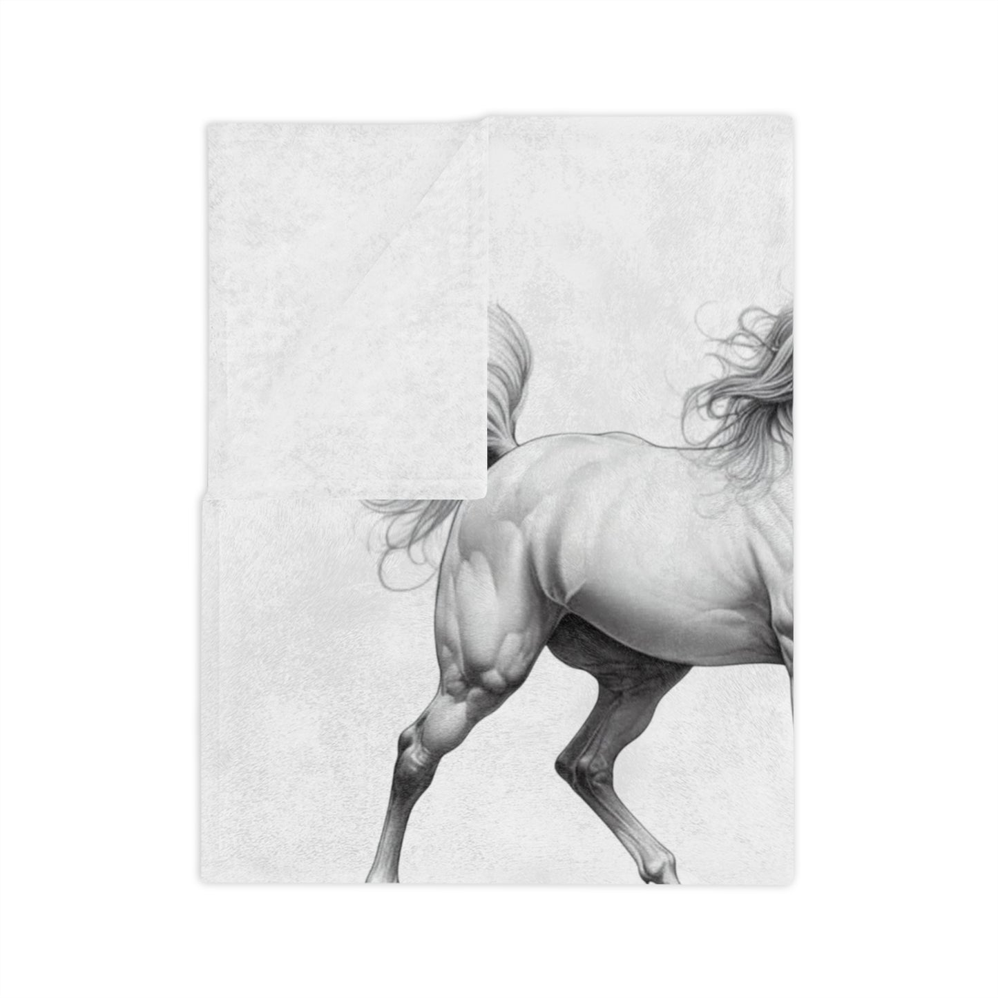 Fancy Pants Velveteen Microfiber Blanket
