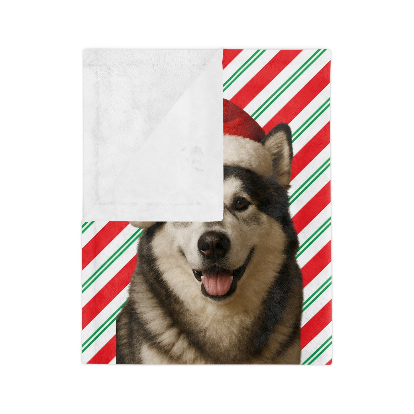 Santa Paws Malamute Velveteen Microfiber Blanket