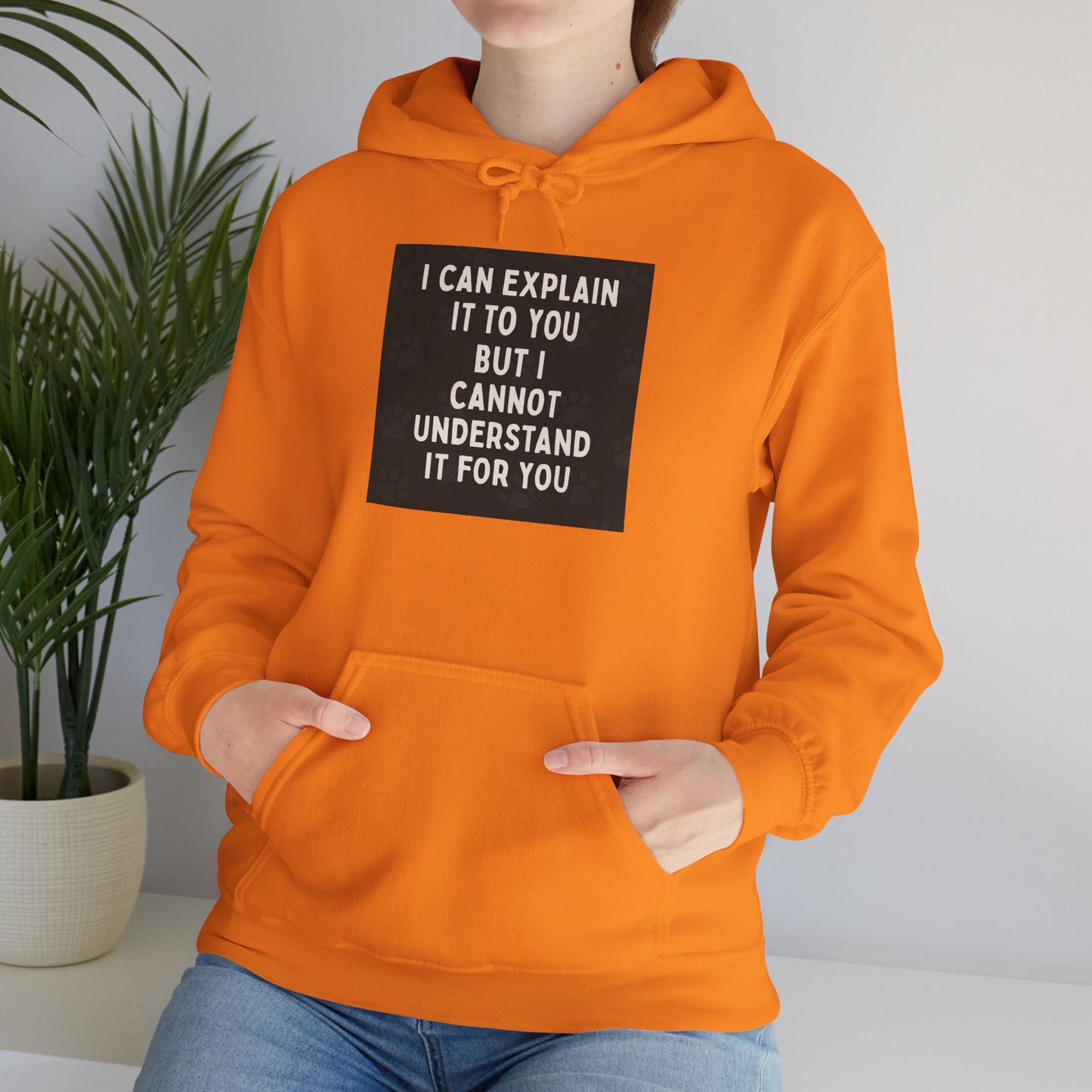 I Cannot Understand It For You Unisex Hoodie