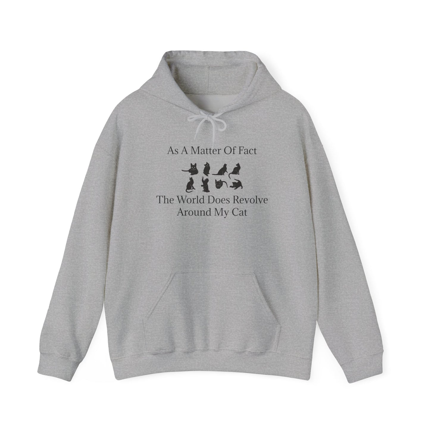 Matter Of Fact Cat Unisex Hoodie