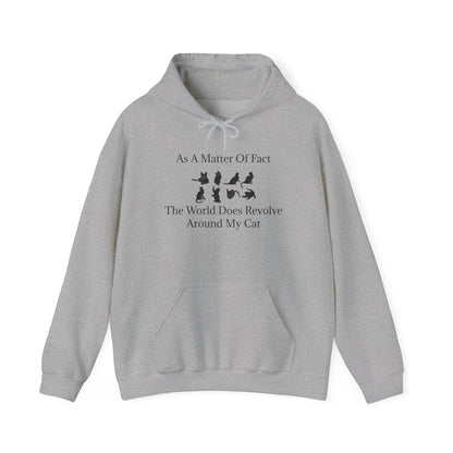 Matter Of Fact Cat Unisex Hoodie