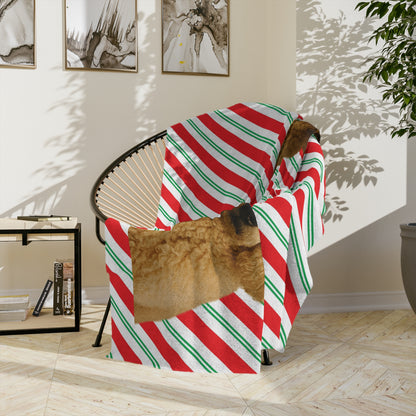 Santa Paws Poodle Velveteen Microfiber Blanket