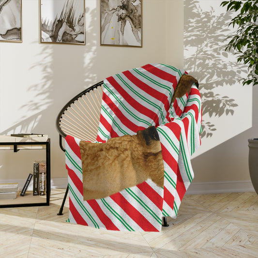 Santa Paws Poodle Velveteen Microfiber Blanket