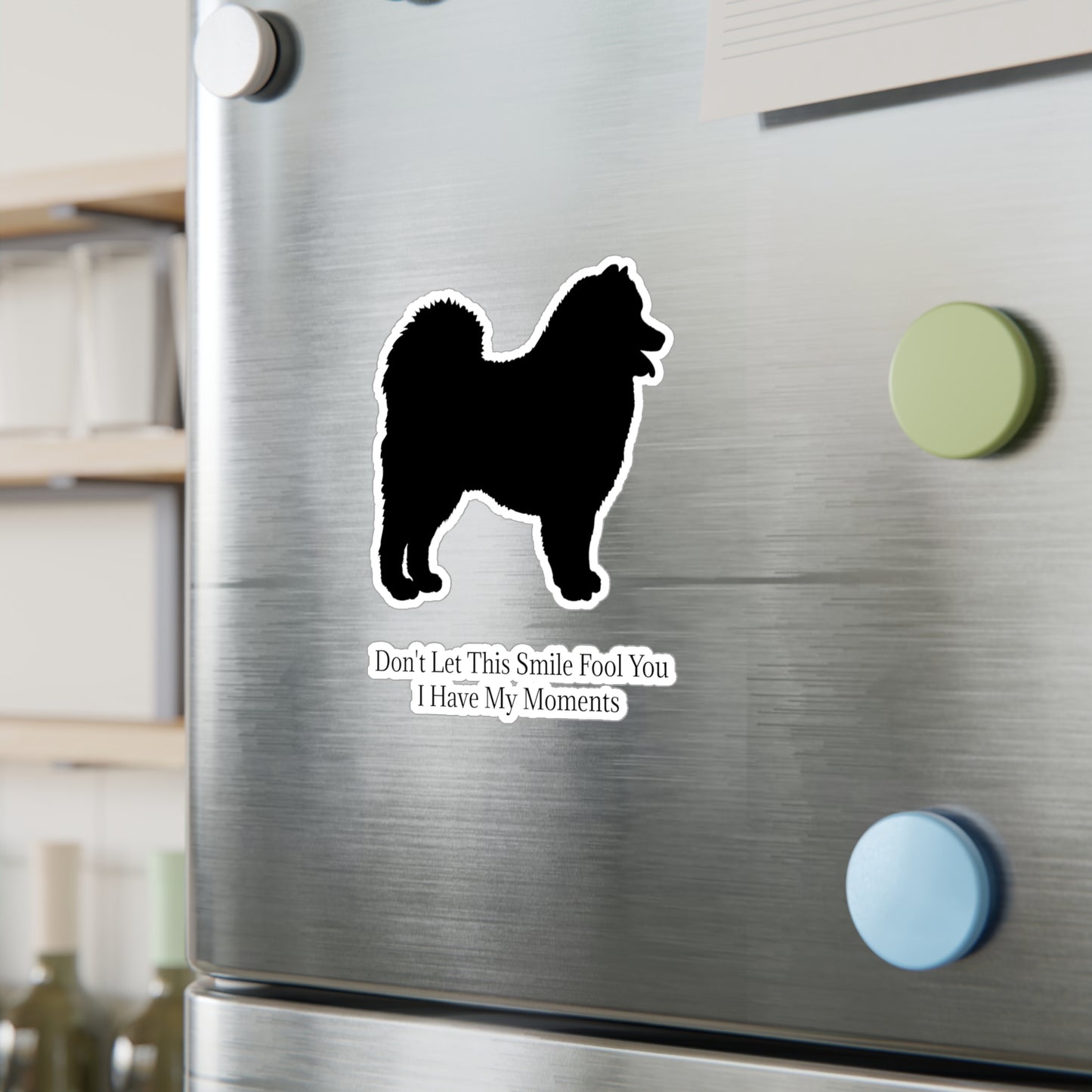 Fool You Vinyl Decal