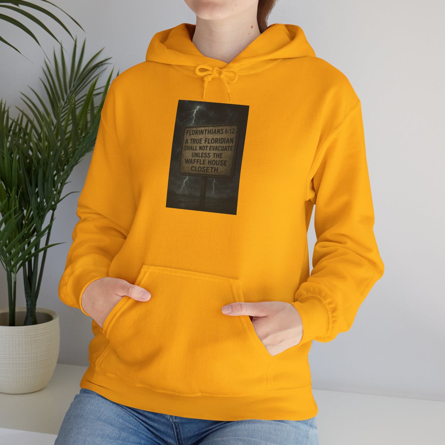 Florinthians 6:12 Unisex Hoodie