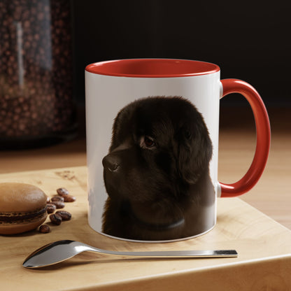 Newfie Head 2-Tone Coffee Mug
