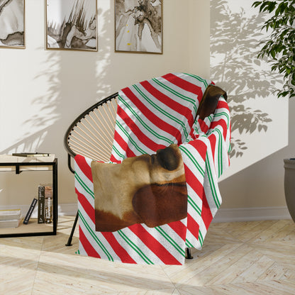Santa Paws Basset Velveteen Microfiber Blanket
