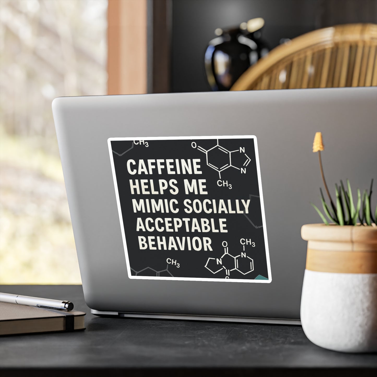 Socially Acceptable Vinyl Decal