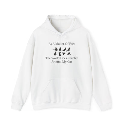 Matter Of Fact Cat Unisex Hoodie