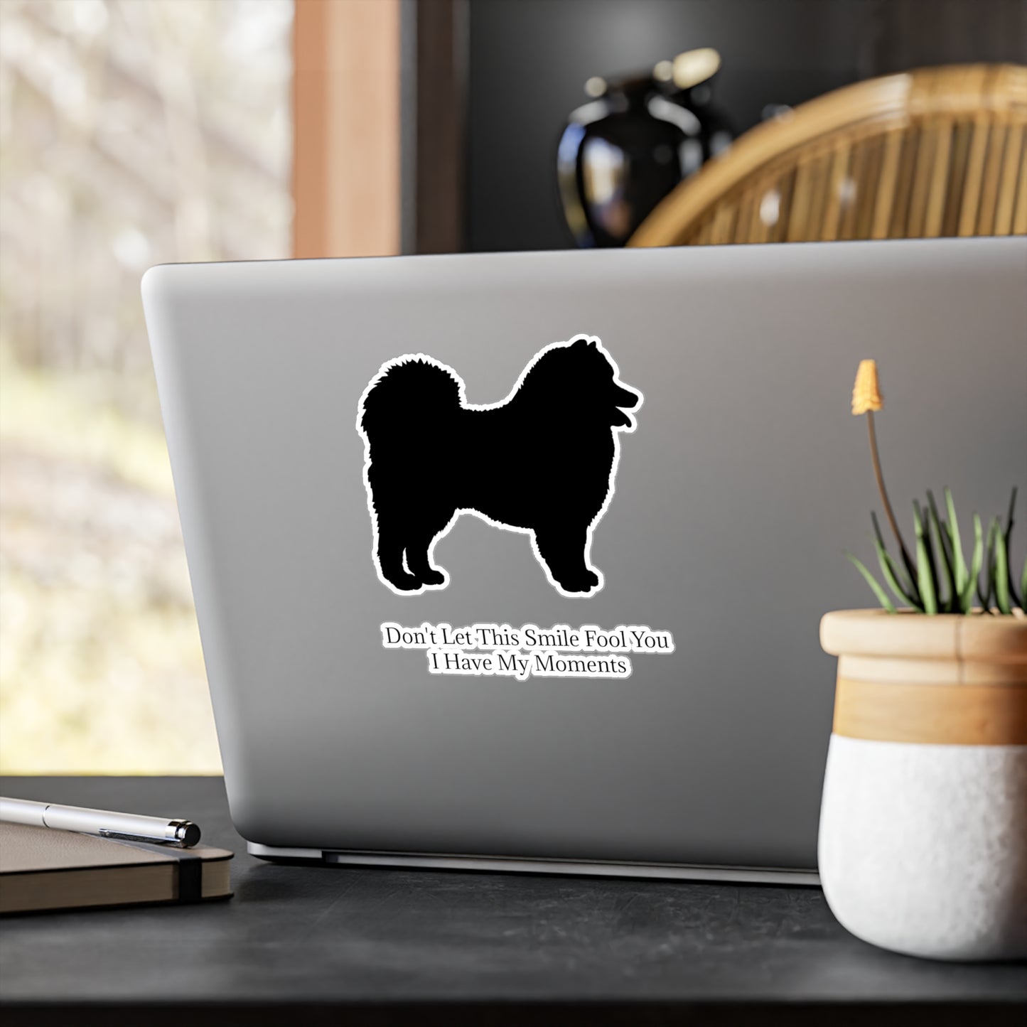 Fool You Vinyl Decal