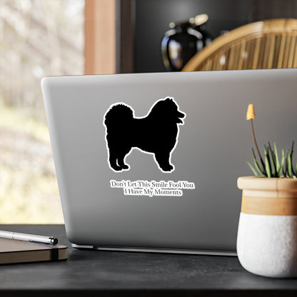 Fool You Vinyl Decal
