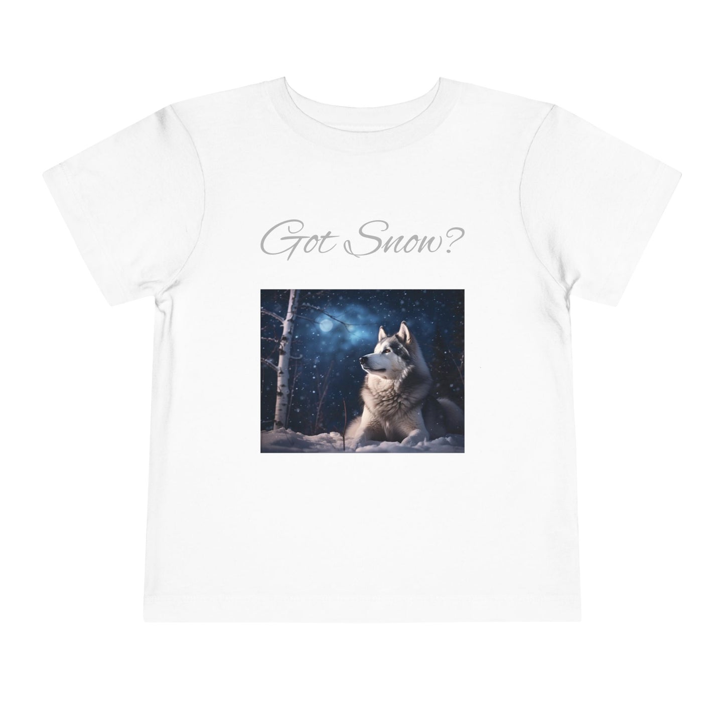 Got Snow? Toddler Unisex Short Sleeve Crewneck Tee