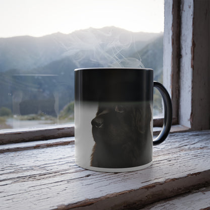 Newfie Head Color Changing Mug