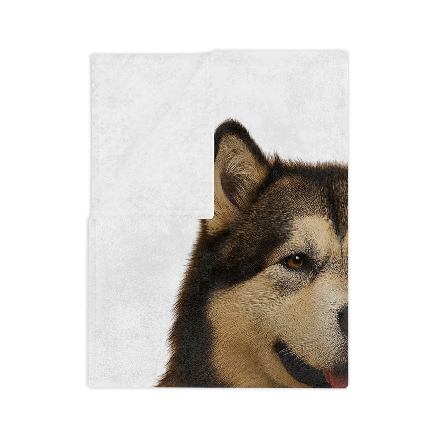 Malamute Head Velveteen Microfiber Blanket