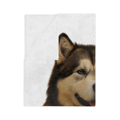 Malamute Head Velveteen Microfiber Blanket