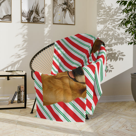 Santa Paws Golden Velveteen Microfiber Blanket