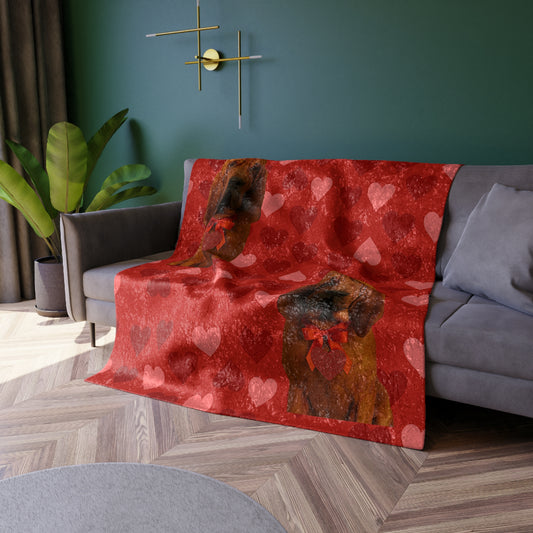 Cupid's Companion Bloodhound Crushed Velvet Blanket