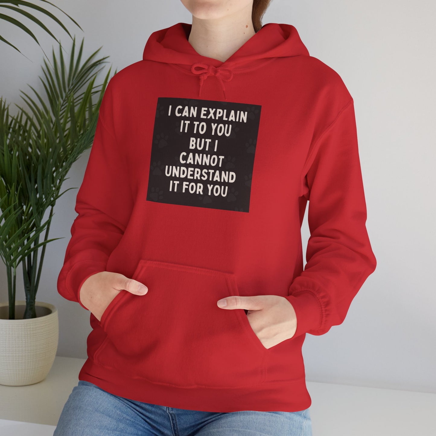I Cannot Understand It For You Unisex Hoodie