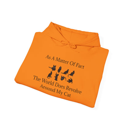 Matter Of Fact Cat Unisex Hoodie