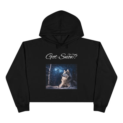 Got Snow? Women's Crop Hoodie