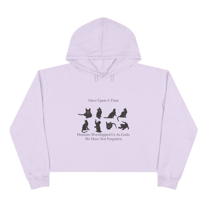 Once Upon A Time Women's Crop Hoodie