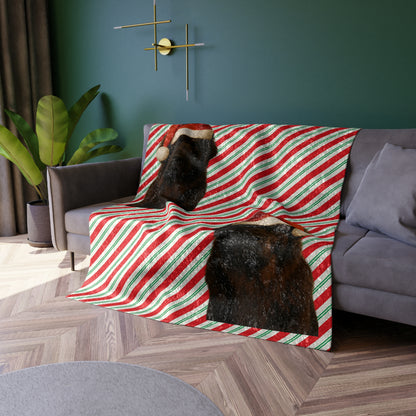 Santa Paws Newfie Crushed Velvet Blanket