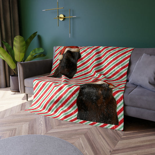 Santa Paws Newfie Crushed Velvet Blanket