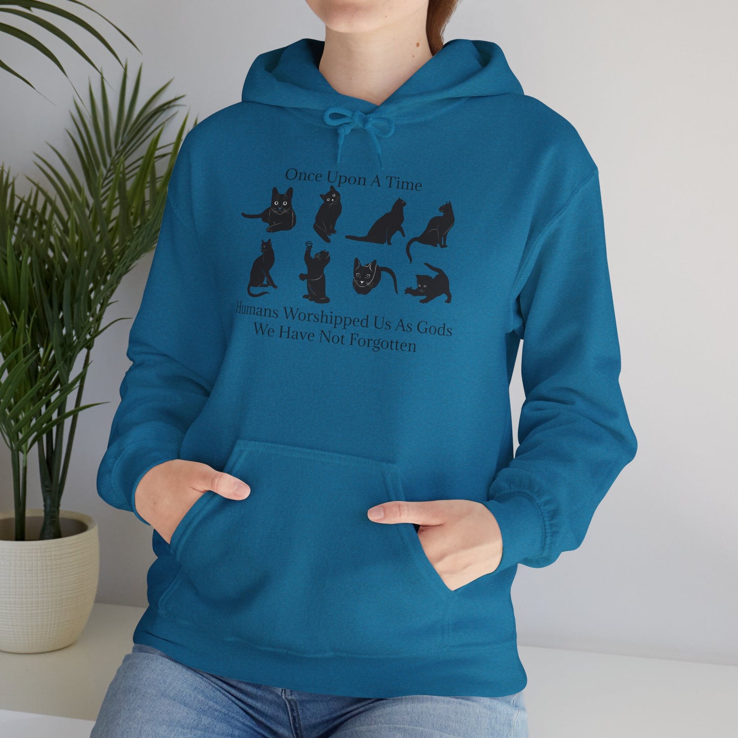 Once Upon A Time Unisex Hoodie