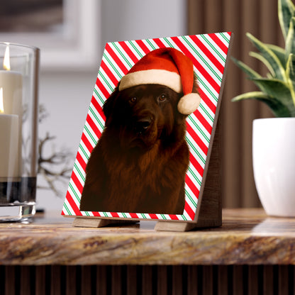 Santa Paws Newfie Ceramic Photo Tile