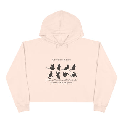 Once Upon A Time Women's Crop Hoodie