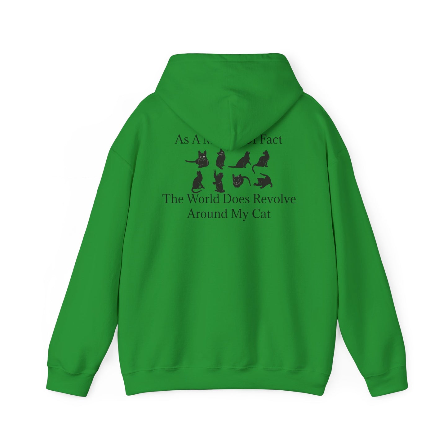 Matter Of Fact Cat Unisex Hoodie