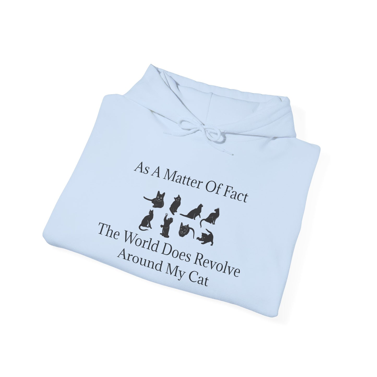Matter Of Fact Cat Unisex Hoodie