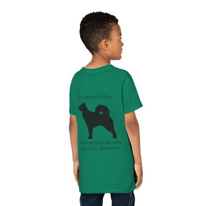 Matter Of Fact Malamute Youth Unisex Short Sleeve Crewneck Tee