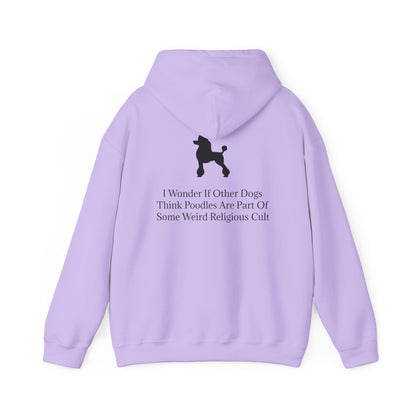 I Wonder Unisex Hoodie