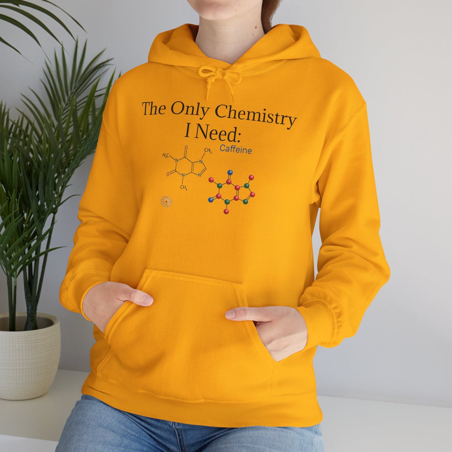 Chemistry Lesson Unisex Hoodie
