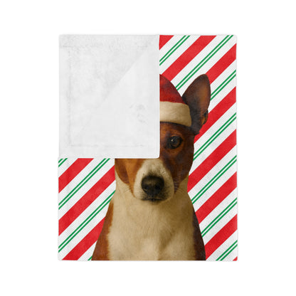 Santa Paws Basenji Velveteen Microfiber Blanket