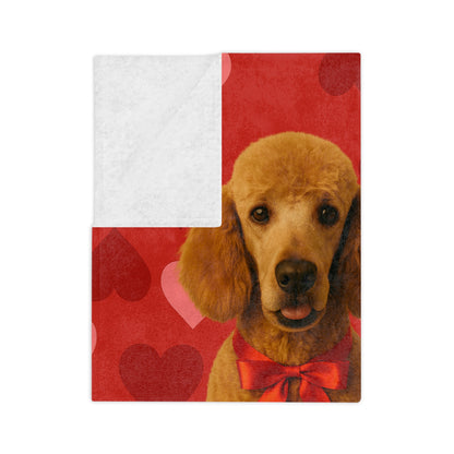Cupid's Companion Poodle Velveteen Microfiber Blanket