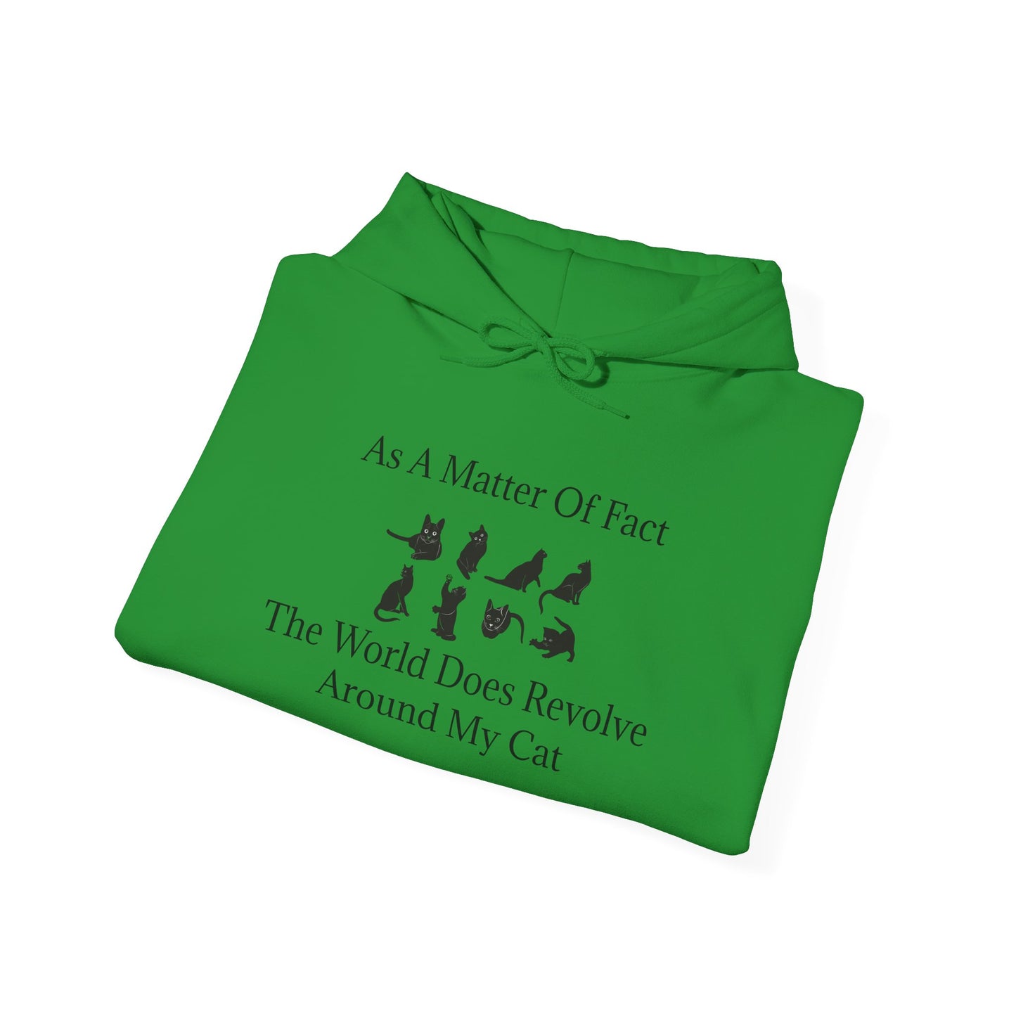 Matter Of Fact Cat Unisex Hoodie