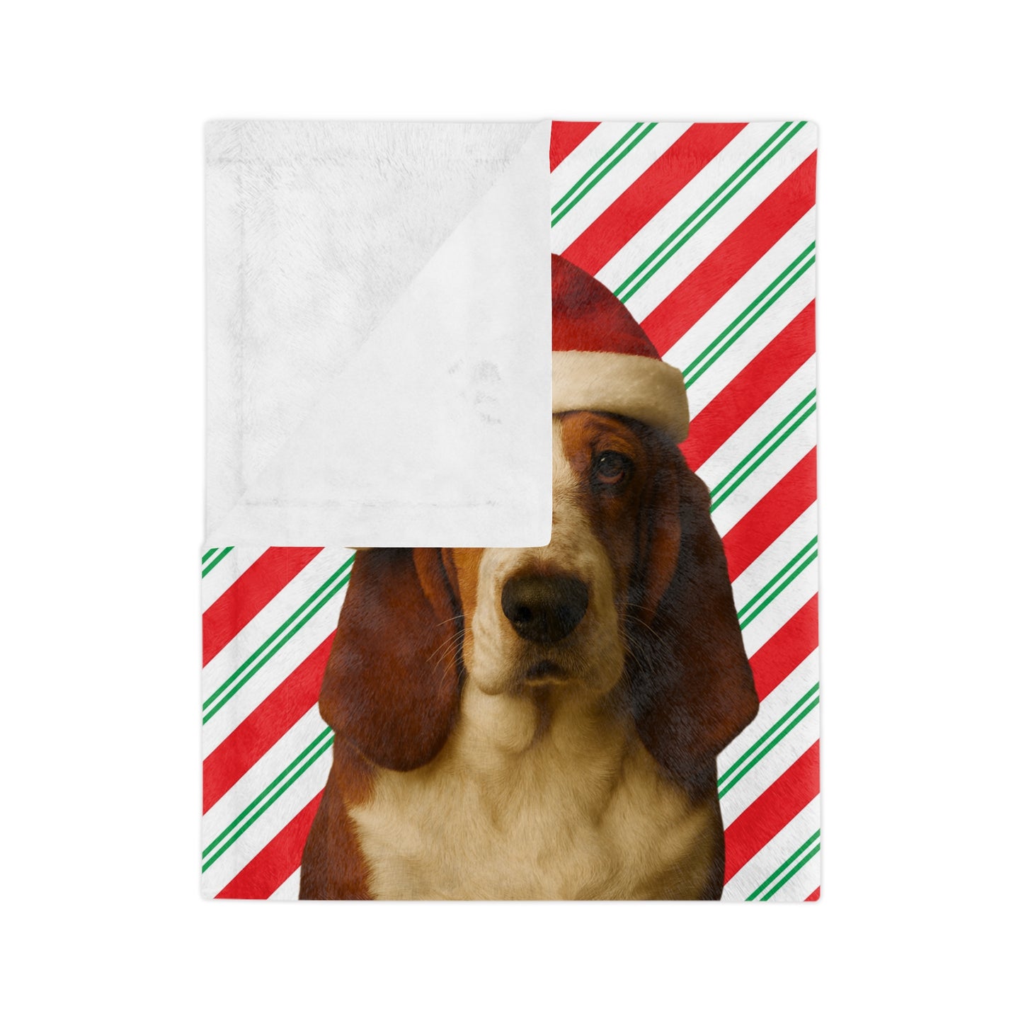 Santa Paws Basset Velveteen Microfiber Blanket