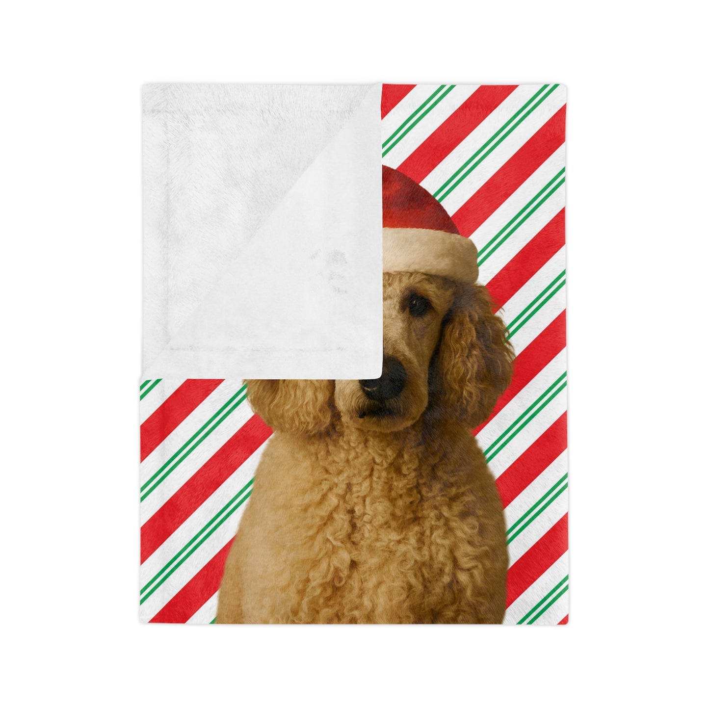 Santa Paws Poodle Velveteen Microfiber Blanket