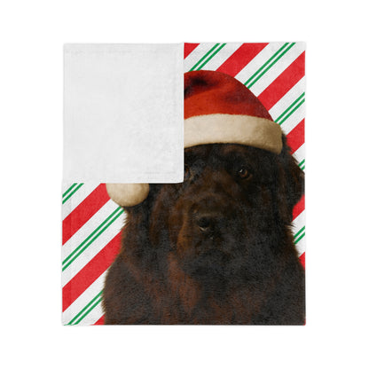 Santa Paws Newfie Velveteen Microfiber Blanket