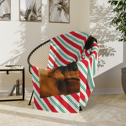 Santa Paws Bloodhound Velveteen Microfiber Blanket