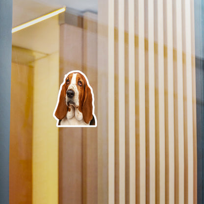 Basset Head Vinyl Decal